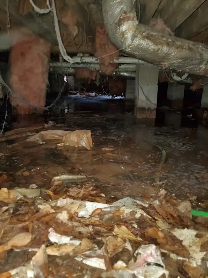 Crawl space flood assessment for Leak Detection & Repair in Upland